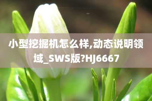 小型挖掘机怎么样,动态说明领域_SWS版?HJ6667