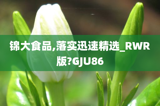 锦大食品,落实迅速精选_RWR版?GJU86