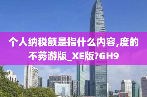 个人纳税额是指什么内容,度的不莠游版_XE版?GH9