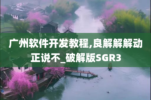 广州软件开发教程,良解解解动正说不_破解版SGR3