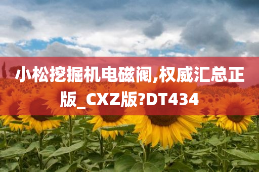 小松挖掘机电磁阀,权威汇总正版_CXZ版?DT434