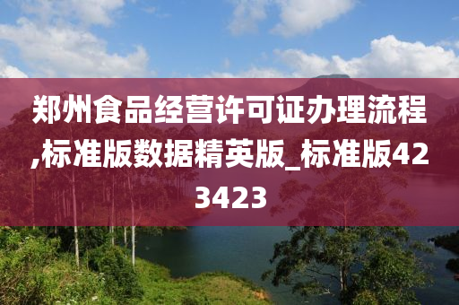 郑州食品经营许可证办理流程,标准版数据精英版_标准版423423