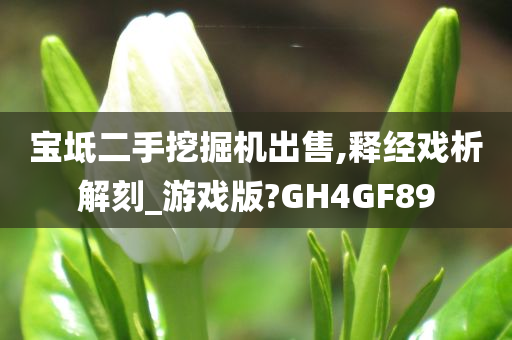 宝坻二手挖掘机出售,释经戏析解刻_游戏版?GH4GF89