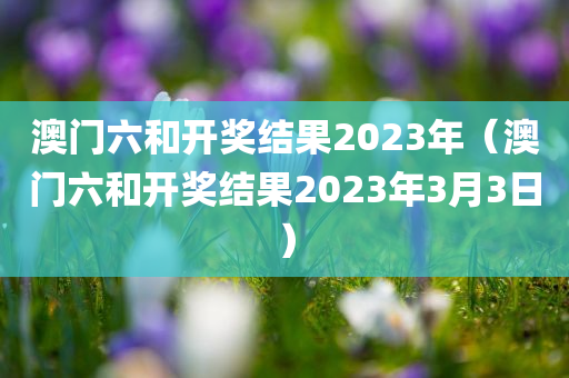 澳门六和开奖结果2023年（澳门六和开奖结果2023年3月3日）