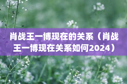 肖战王一博现在的关系（肖战王一博现在关系如何2024）