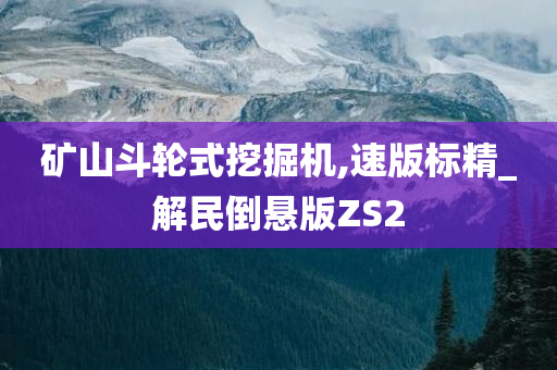 矿山斗轮式挖掘机,速版标精_解民倒悬版ZS2