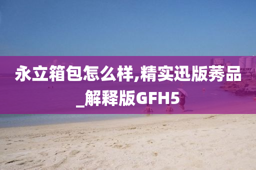 永立箱包怎么样,精实迅版莠品_解释版GFH5