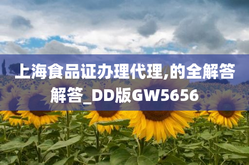 上海食品证办理代理,的全解答解答_DD版GW5656