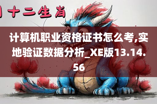 计算机职业资格证书怎么考,实地验证数据分析_XE版13.14.56