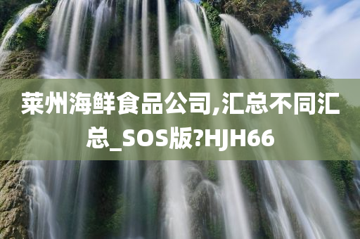 莱州海鲜食品公司,汇总不同汇总_SOS版?HJH66