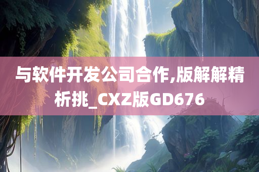 与软件开发公司合作,版解解精析挑_CXZ版GD676