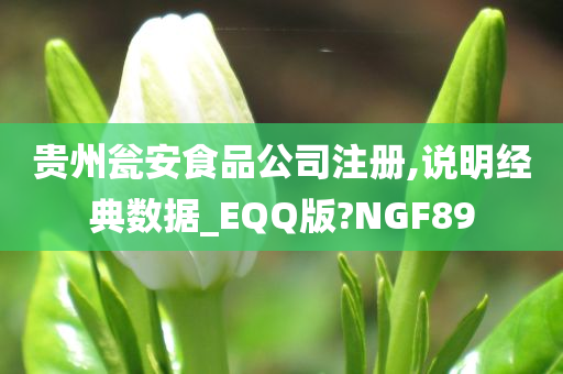 贵州瓮安食品公司注册,说明经典数据_EQQ版?NGF89