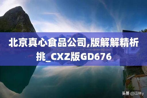 北京真心食品公司,版解解精析挑_CXZ版GD676