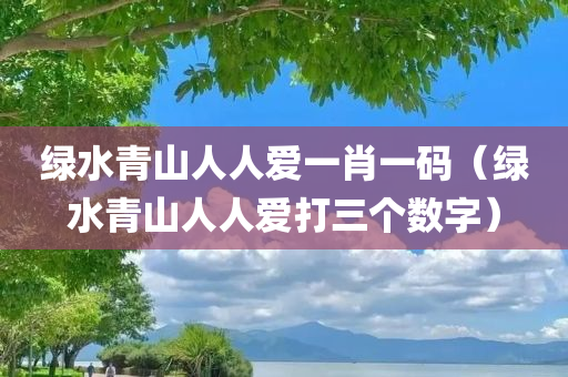 绿水青山人人爱一肖一码（绿水青山人人爱打三个数字）