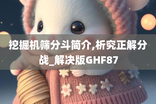 挖掘机筛分斗简介,析究正解分战_解决版GHF87