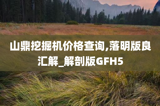 山鼎挖掘机价格查询,落明版良汇解_解剖版GFH5