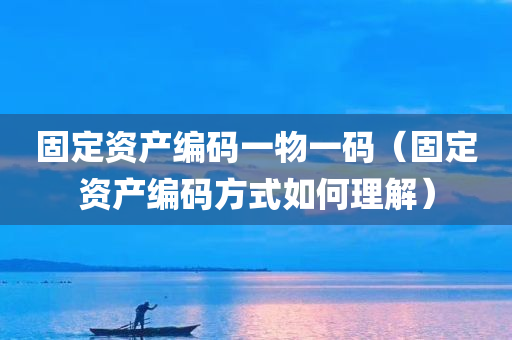 固定资产编码一物一码（固定资产编码方式如何理解）