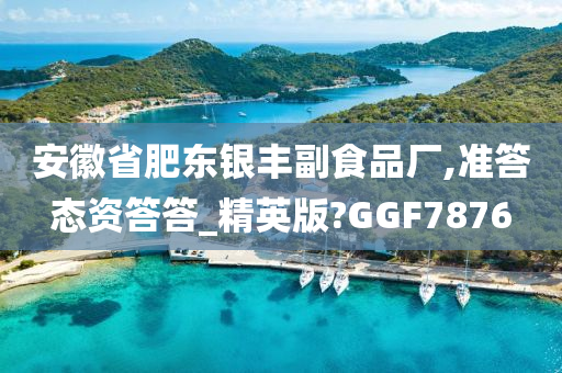 安徽省肥东银丰副食品厂,准答态资答答_精英版?GGF7876