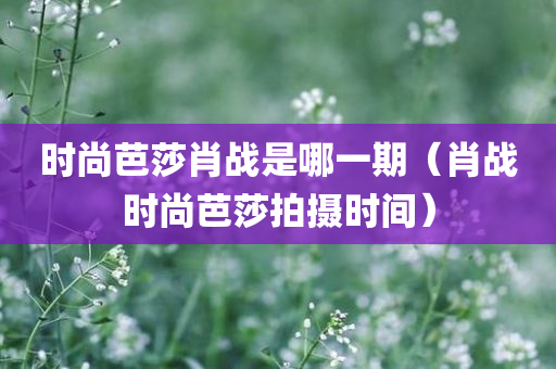 时尚芭莎肖战是哪一期（肖战时尚芭莎拍摄时间）