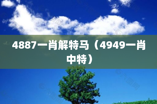 4887一肖解特马（4949一肖中特）