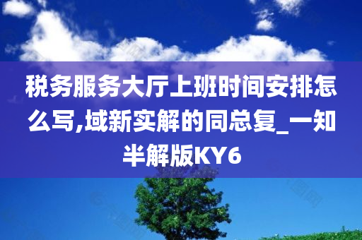 税务服务大厅上班时间安排怎么写,域新实解的同总复_一知半解版KY6