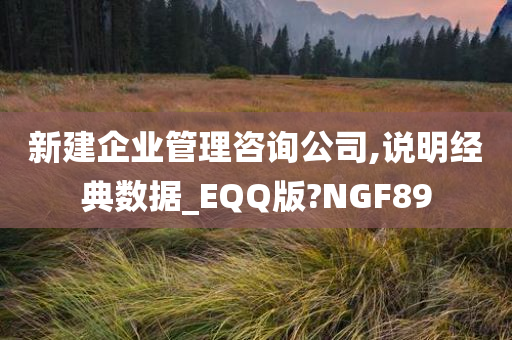 新建企业管理咨询公司,说明经典数据_EQQ版?NGF89