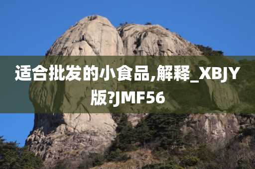 适合批发的小食品,解释_XBJY版?JMF56