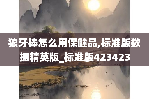 狼牙棒怎么用保健品,标准版数据精英版_标准版423423