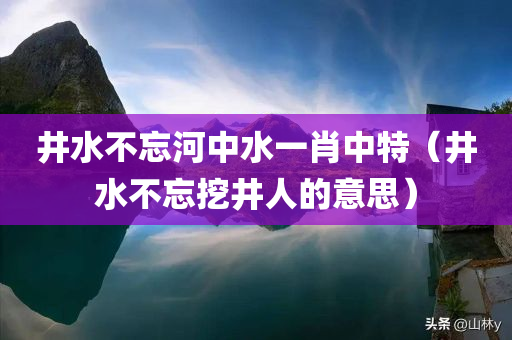 井水不忘河中水一肖中特（井水不忘挖井人的意思）