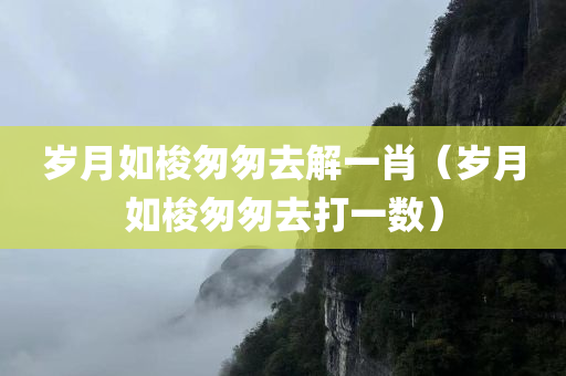 岁月如梭匆匆去解一肖（岁月如梭匆匆去打一数）