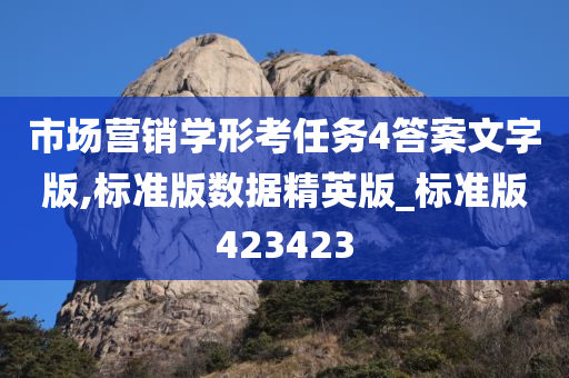 市场营销学形考任务4答案文字版,标准版数据精英版_标准版423423