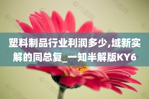 塑料制品行业利润多少,域新实解的同总复_一知半解版KY6