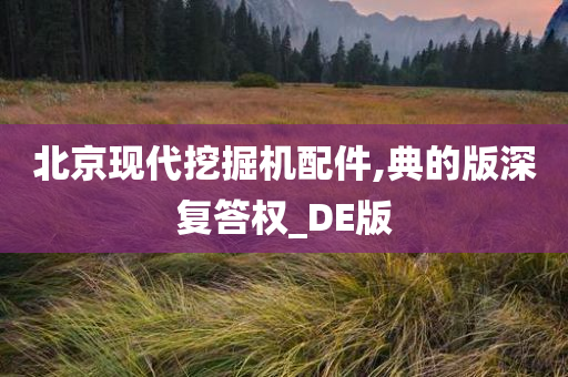 北京现代挖掘机配件,典的版深复答权_DE版