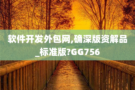 软件开发外包网,确深版资解品_标准版?GG756