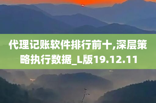 代理记账软件排行前十,深层策略执行数据_L版19.12.11