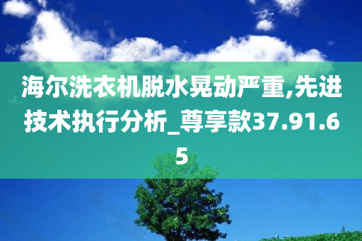 海尔洗衣机脱水晃动严重,先进技术执行分析_尊享款37.91.65