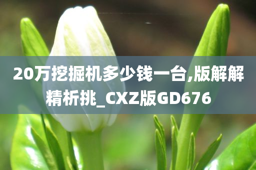 20万挖掘机多少钱一台,版解解精析挑_CXZ版GD676