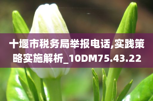 十堰市税务局举报电话,实践策略实施解析_10DM75.43.22