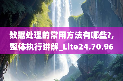 数据处理的常用方法有哪些?,整体执行讲解_Lite24.70.96