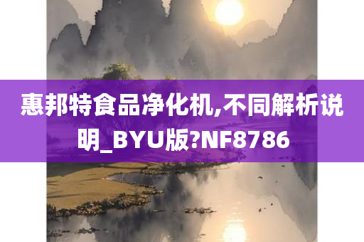 惠邦特食品净化机,不同解析说明_BYU版?NF8786