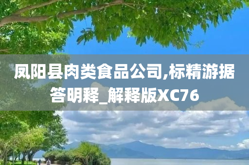 凤阳县肉类食品公司,标精游据答明释_解释版XC76