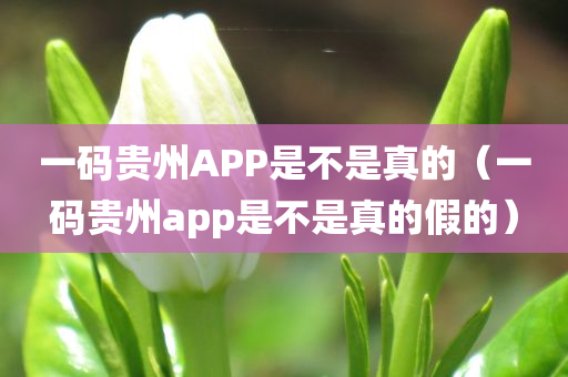 一码贵州APP是不是真的（一码贵州app是不是真的假的）