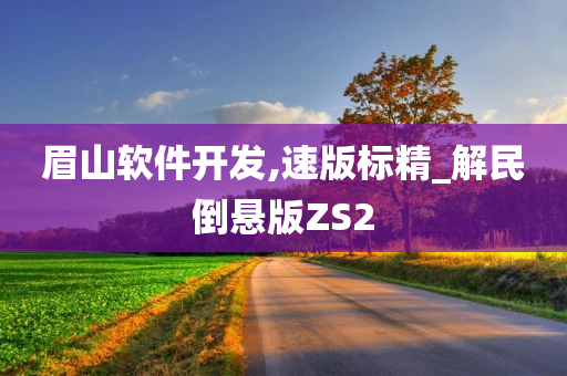 眉山软件开发,速版标精_解民倒悬版ZS2