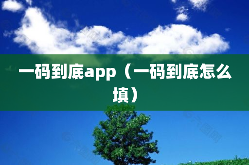 一码到底app（一码到底怎么填）