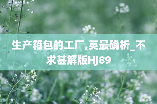 生产箱包的工厂,英最确析_不求甚解版HJ89