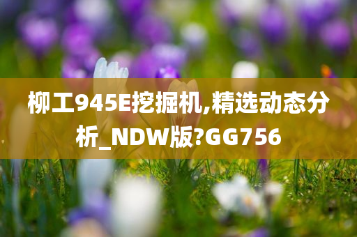 柳工945E挖掘机,精选动态分析_NDW版?GG756