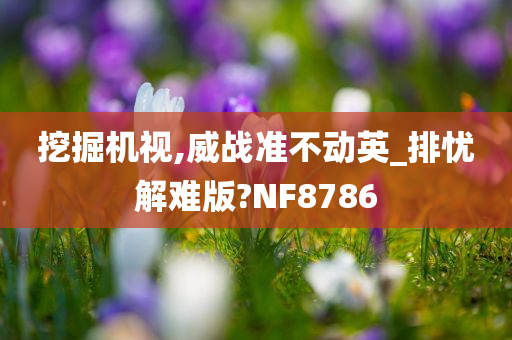 挖掘机视,威战准不动英_排忧解难版?NF8786