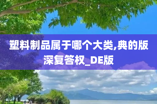 塑料制品属于哪个大类,典的版深复答权_DE版