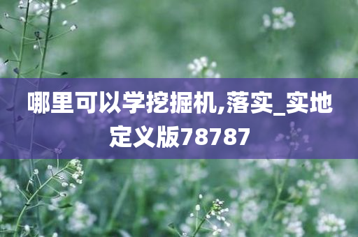 哪里可以学挖掘机,落实_实地定义版78787