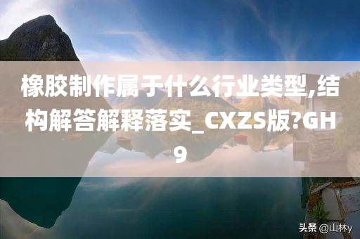 橡胶制作属于什么行业类型,结构解答解释落实_CXZS版?GH9